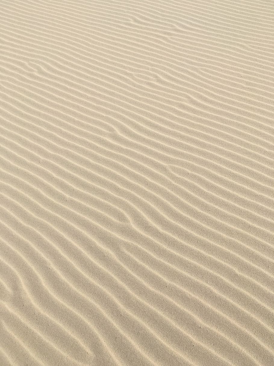 sand, sand lines, beach, grass, denmark, nature, sand Dune HD wallpaper