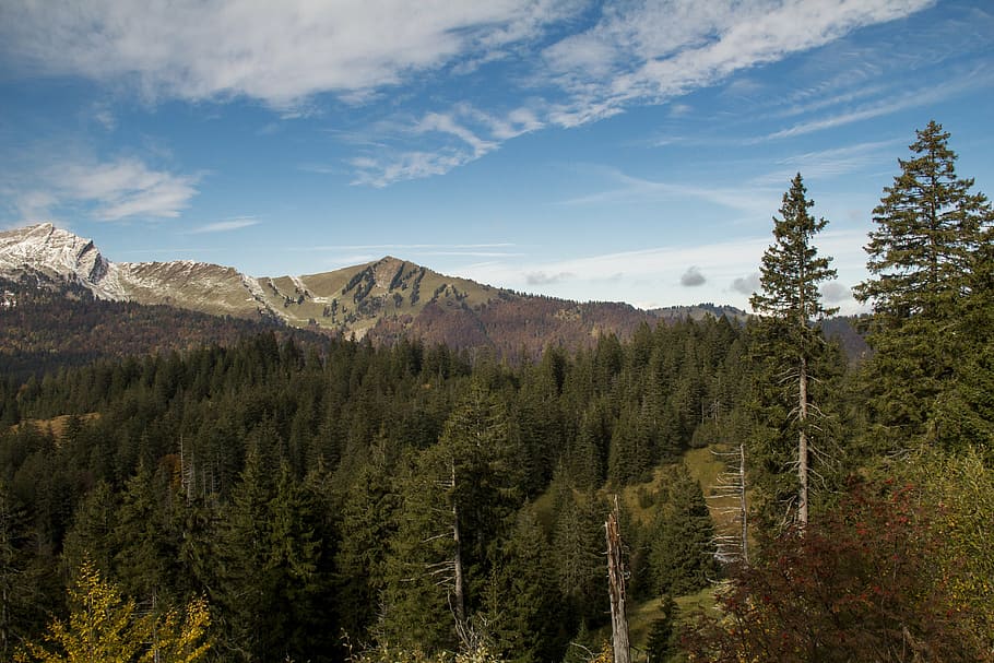 mountains, forest, hiking, valley, nature, tree, beauty in nature HD wallpaper