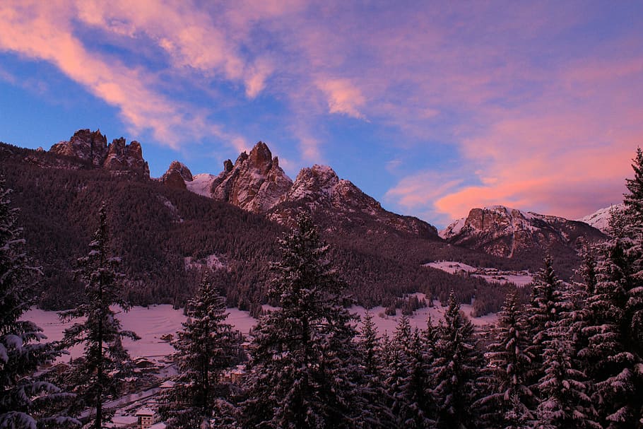 landscape photography of mountain, photo of green pine forest with snow under blue sky HD wallpaper