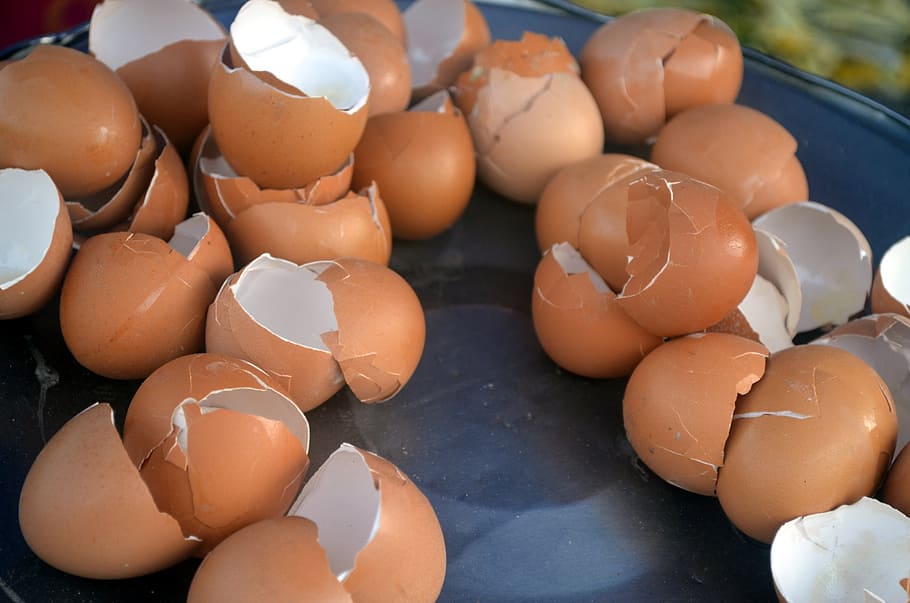 egg, shell, shells, broken, cooking, chicken, food, food and drink HD wallpaper