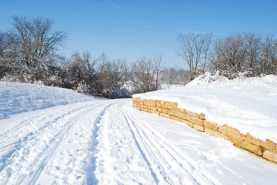 snow, trail, winter, nature, cold, landscape, adventure, forest HD wallpaper