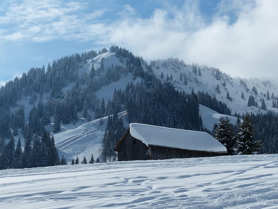 wintry, winter magic, snow magic, nice weather, white, hut HD wallpaper