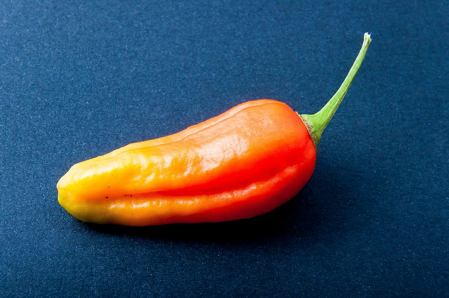 pepper, chili, orange, bright, sharp, pepper crop, eat, pod HD wallpaper
