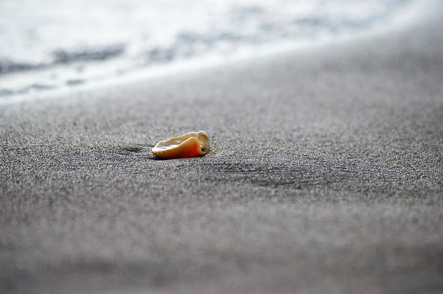 shelf, sand, sea, beach, water, ocean, seascape, nature, coast HD wallpaper