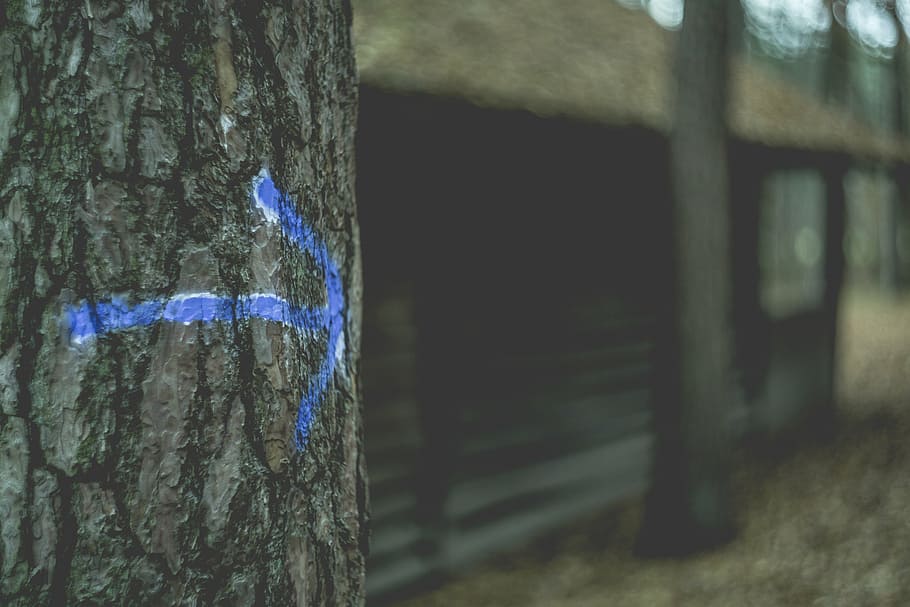 action, arrow, blur, bokeh, bunch, close-up, dark, direction HD wallpaper