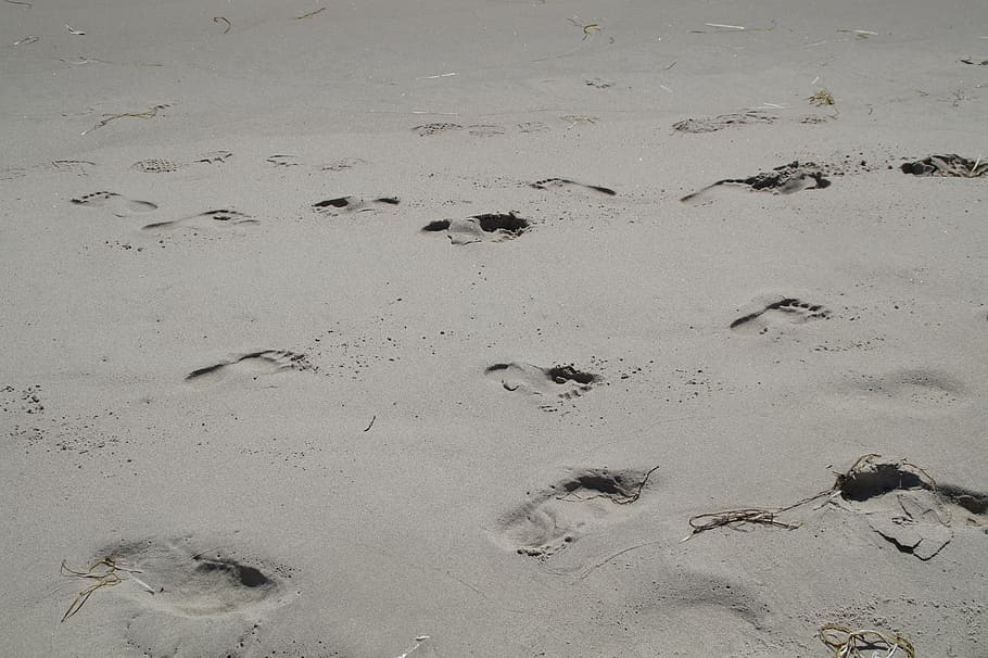 traces, footprints, sand, beach, tracks in the sand, feet, reprint, HD wallpaper