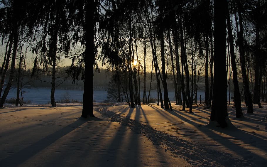 winter, snow, sun, sunset, landscape, cold, nature, winter landscape HD wallpaper