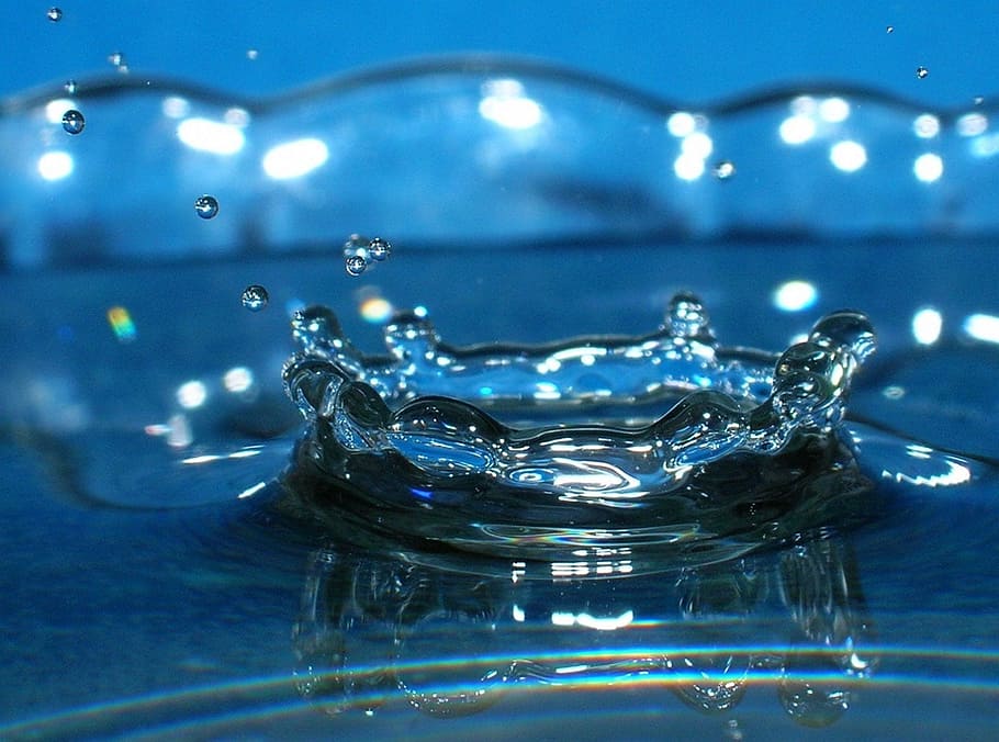 close up photography of water drop, blue, net, splashing, motion HD wallpaper