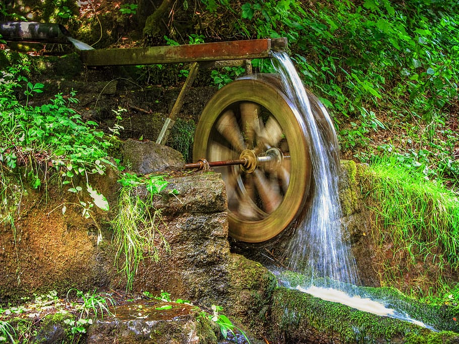 nature, source, water, wasserad, plant, outdoor, motion, water wheel