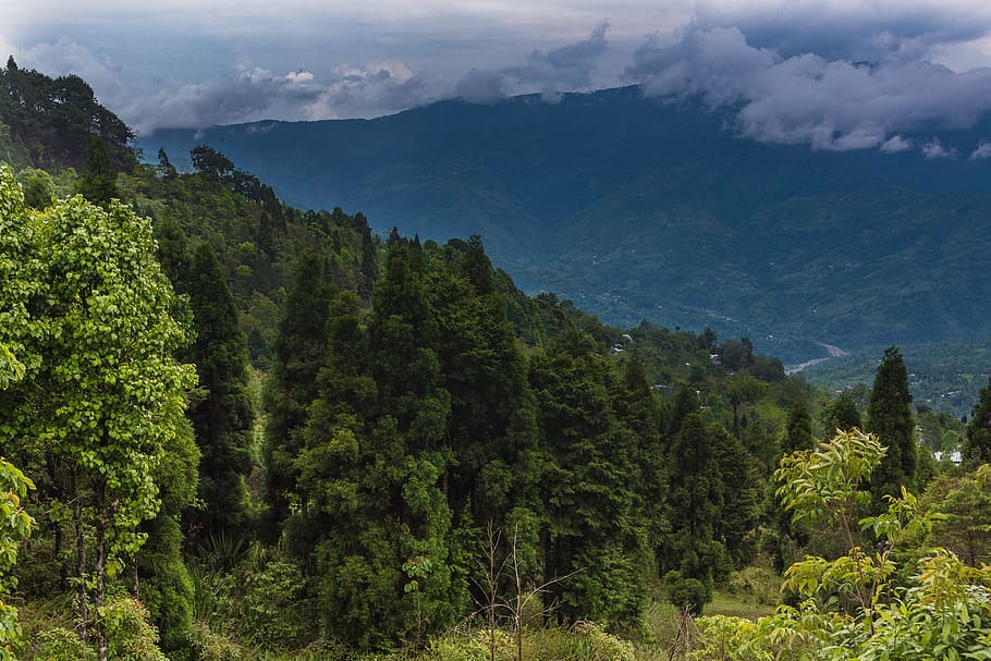 nature, panoramic, mountain, landscape, travel, sky, tree, hill HD wallpaper