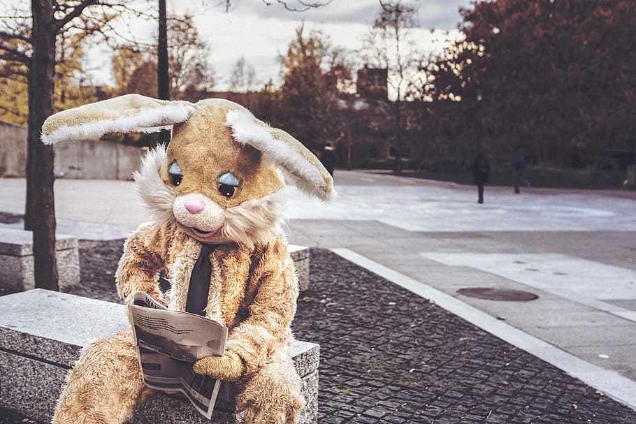 person wearing brown bunny costume, whimsical, animals, lazy HD wallpaper