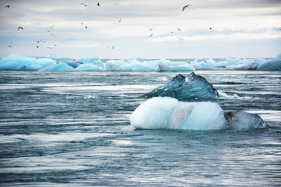 iceberg on water, flock of flying birds above body of water with ice formation HD wallpaper