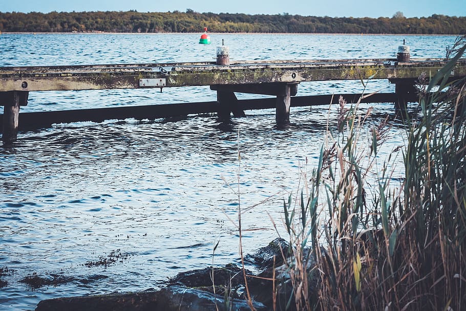sea, ocean, water, waves, nature, pathway, bridge, grass, trees HD wallpaper