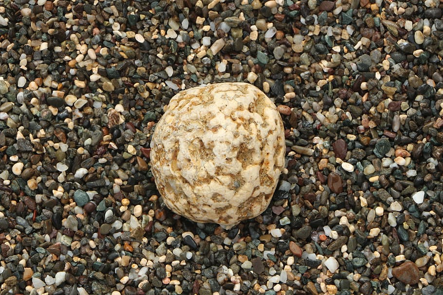 assorted-color gravel, stone, beach, crete, pebble, water, sea HD wallpaper