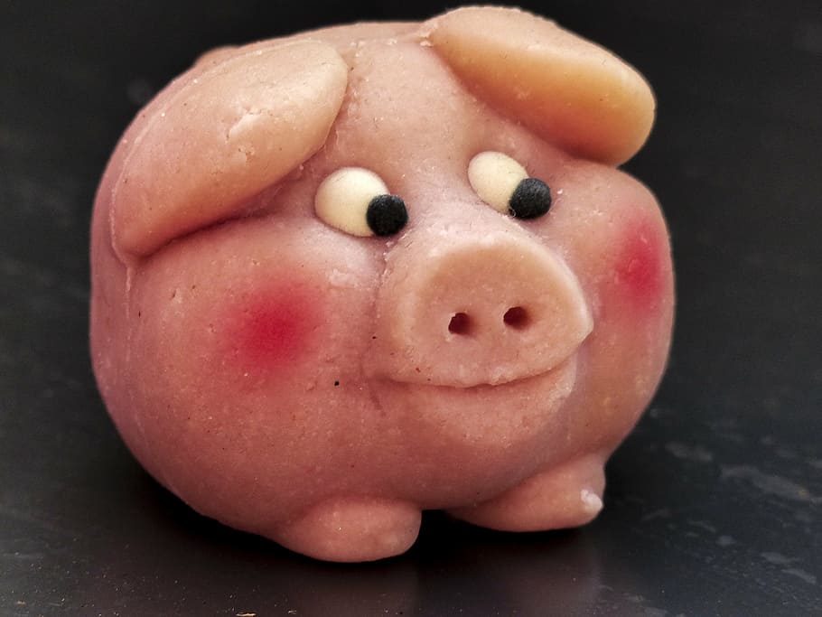 funny, marzipan, pig, face, sweet, food, sugar, lucky symbol HD wallpaper