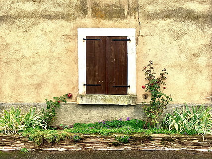 roses, home, window, background, vintage, nostalgia, art, shutters HD wallpaper