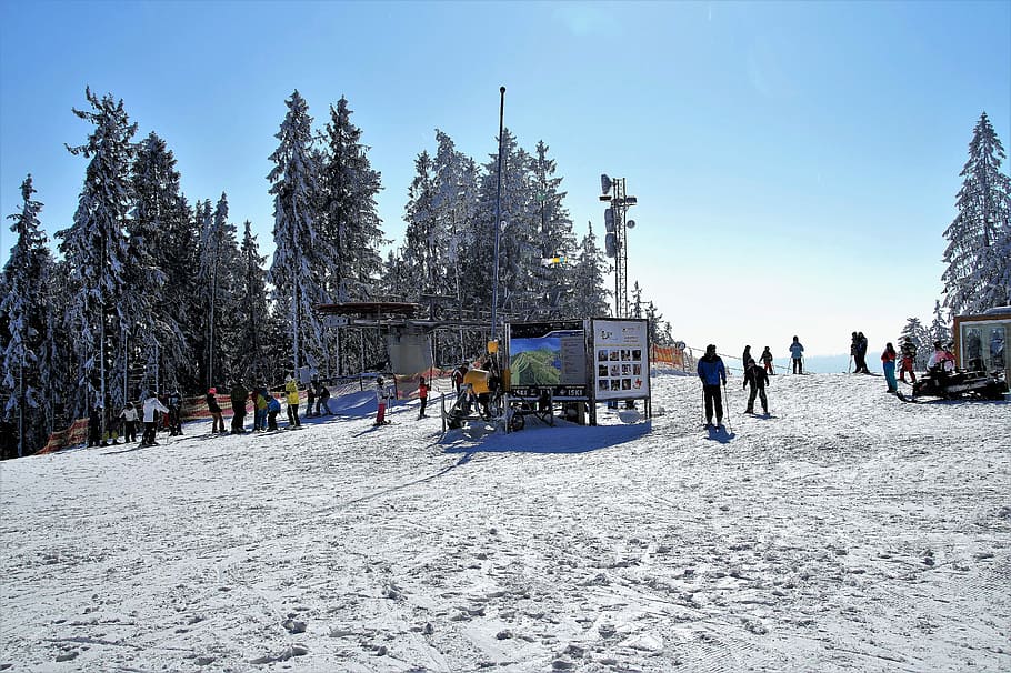 Ski, Areal, Skiing, Winter, Winter, Winter Sport, ski areal, HD wallpaper