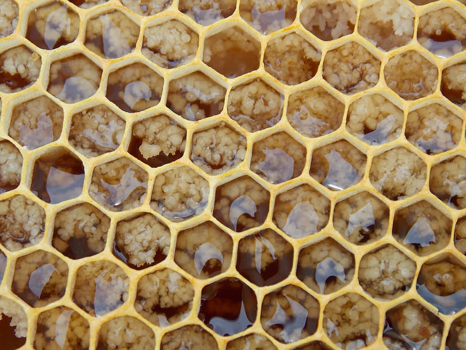 honeycomb closeup photo, bees, hexagons, honeycombed, insect, HD wallpaper