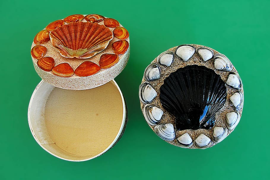 Crafts, Sea Shells, Boxes, colored background, no people, indoors HD wallpaper