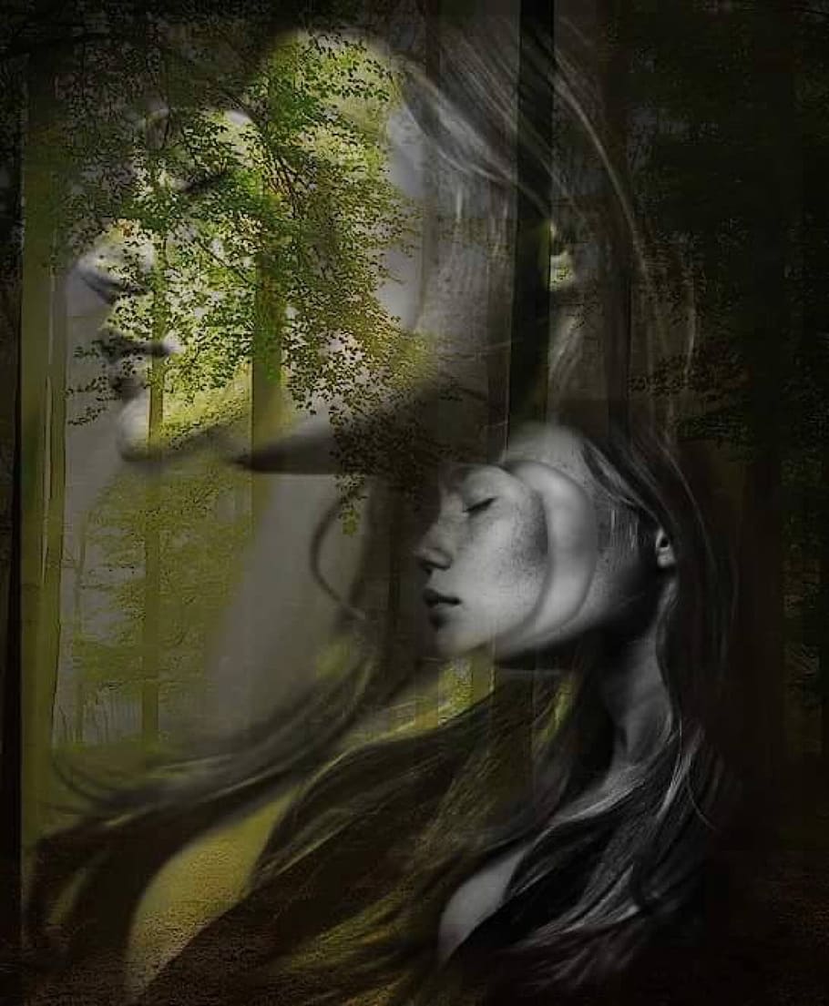 image editing, mask, forest, overlay, tree, plant, nature, one person HD wallpaper