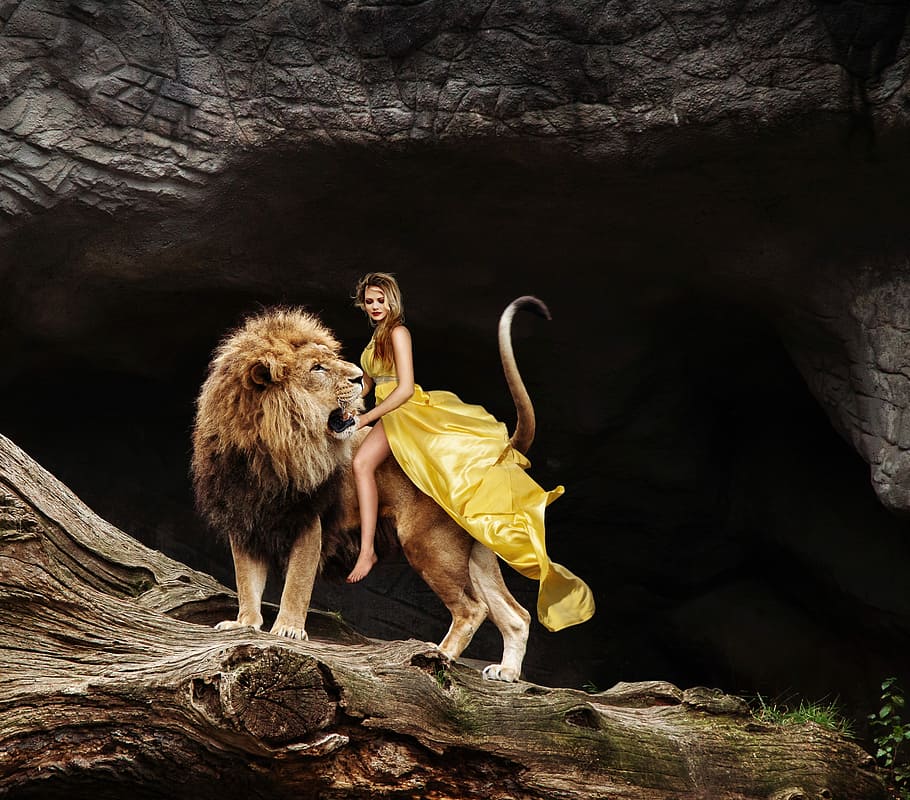 HD wallpaper: woman on the back of lion, ride, predator, flowing dress,  yellow | Wallpaper Flare
