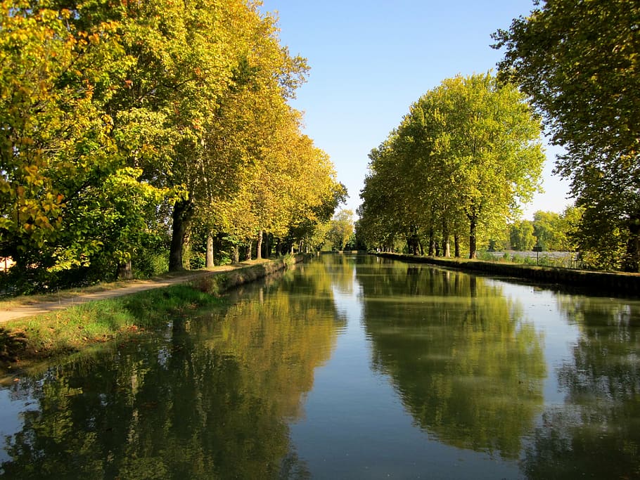 canal de garonne, france, tree, reflection, plant, water, tranquility, HD wallpaper
