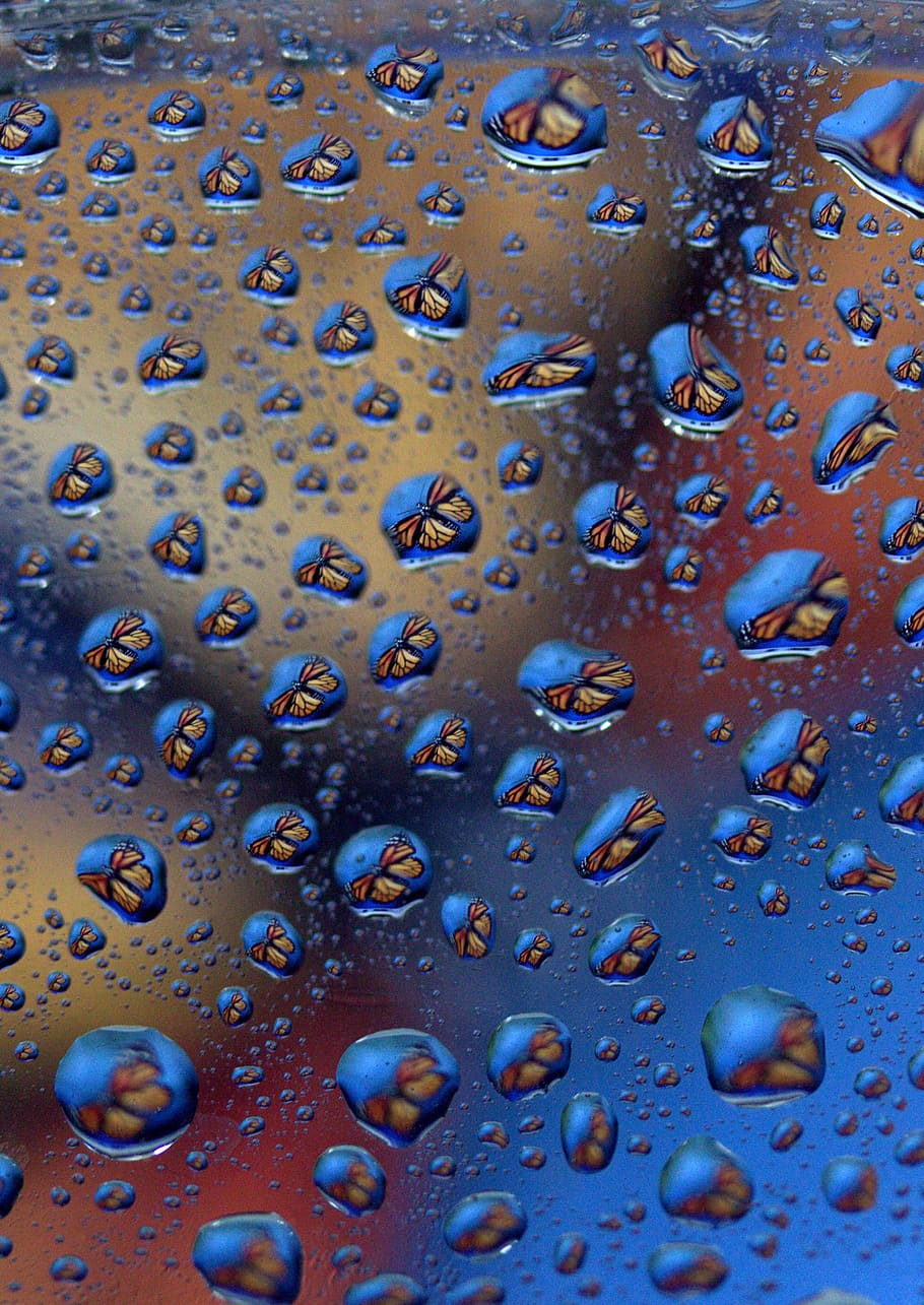 drops, reflection, water, rain, wet, backgrounds, full frame HD wallpaper