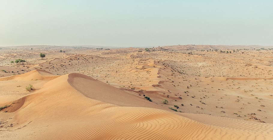 Desert, Sand, Sand, Dune, Emirates, Nature, arid climate, sand dune HD wallpaper