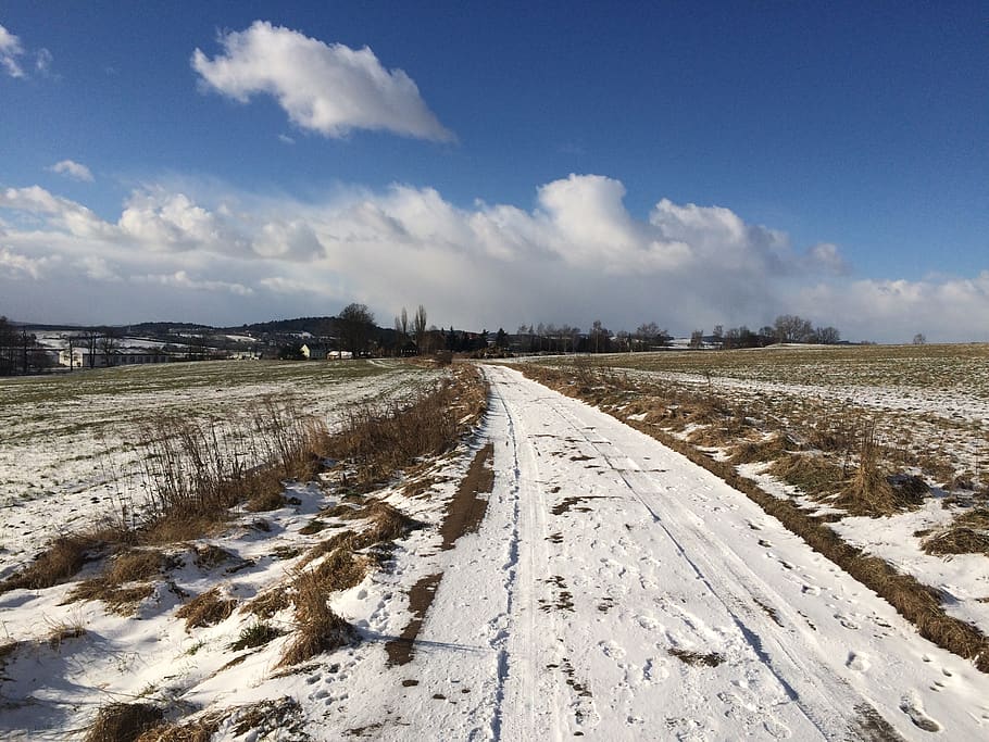 path, winter, snow, nature, sky, walk, landscape, the trail HD wallpaper