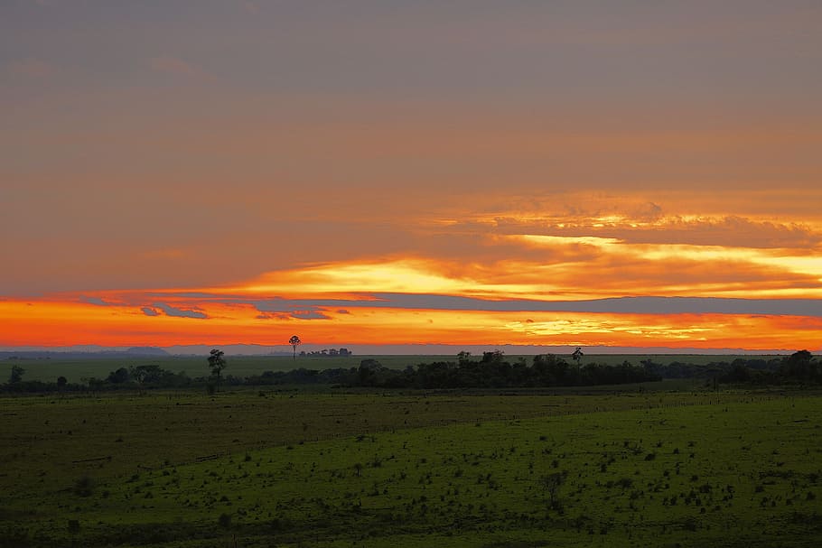 sunset, landscapes, sky, ray of sunshine, holiday, backlight HD wallpaper
