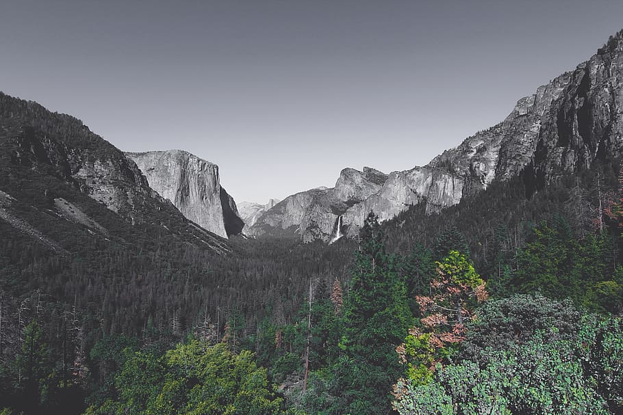 landscape photography of mountain, selective photography of forest near mountain HD wallpaper