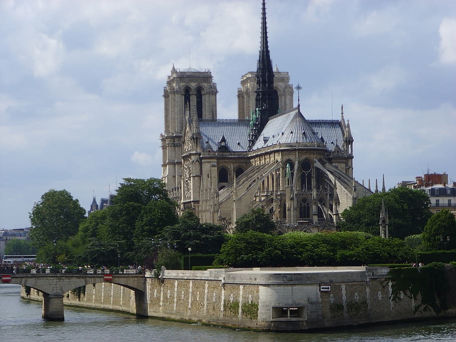 gray and black concrete building, notre dame, cathedral, paris