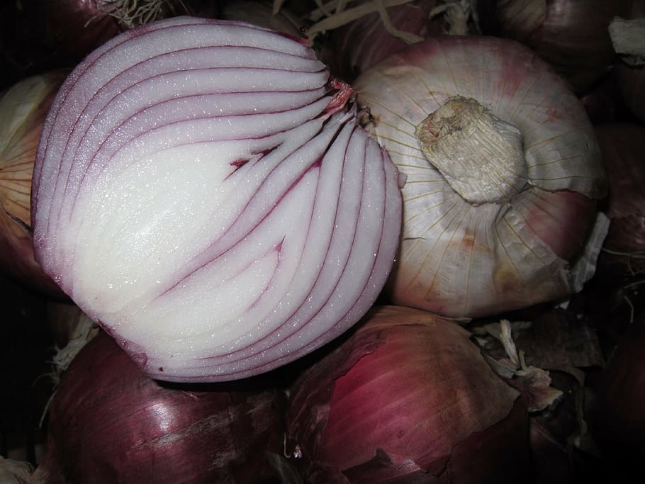 onion, red onion, raw, vegetables, food, sliced, vitamins, freshness HD wallpaper