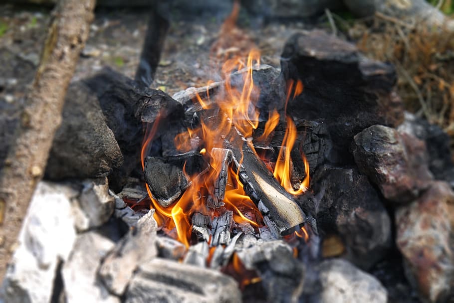 Fire, Burns, Flames, Low, Hot, Bonfire, billet, cozy, nature HD wallpaper