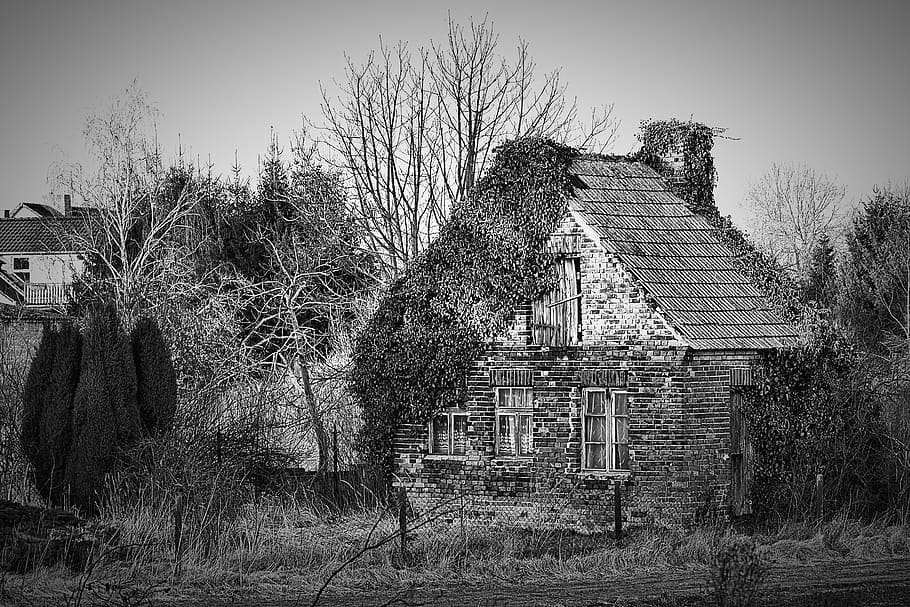 web caretaker cottage, abandoned, old, black and white, wild