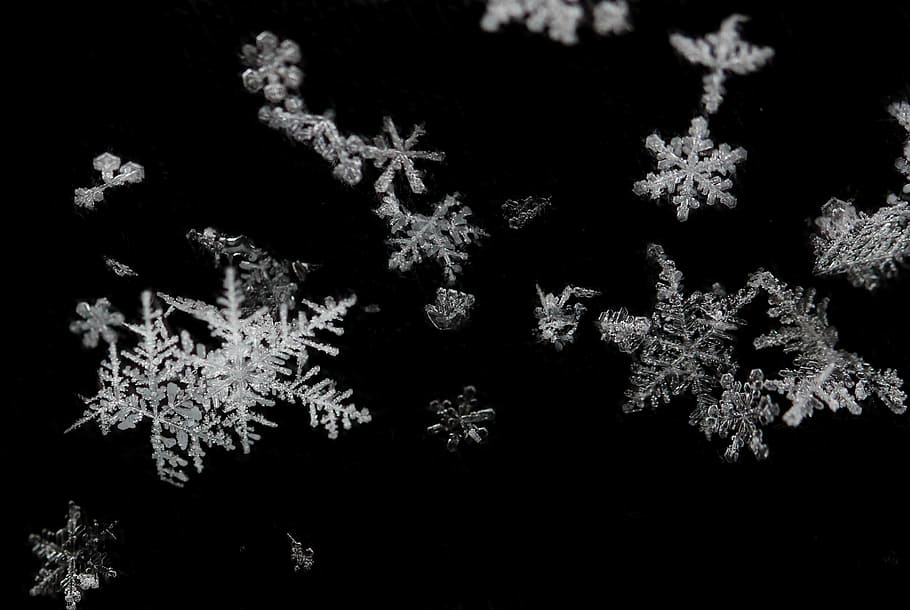 snowflakes, winter, frozen, forms, white, cold temperature HD wallpaper