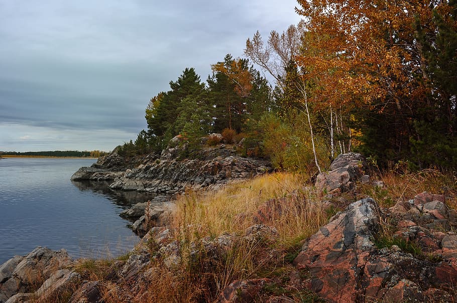 forest near body of water, landscape, nature, painting, river HD wallpaper