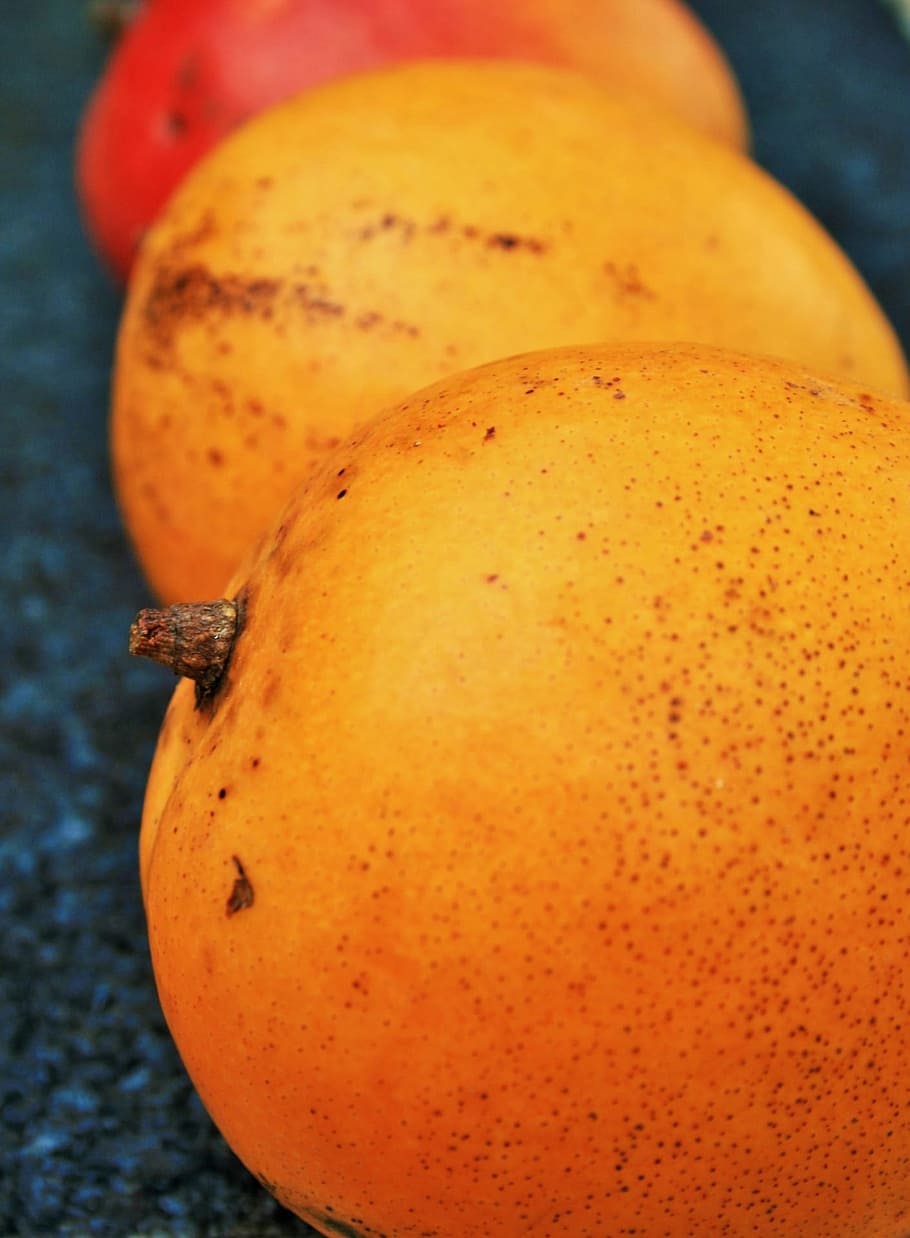 Fruit, Mangos, Row, Round, Orange, three, fresh, tropical, food and drink HD wallpaper