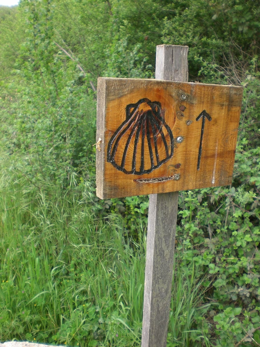 jakobsweg, directory, shell, direction, camino de santiago HD wallpaper