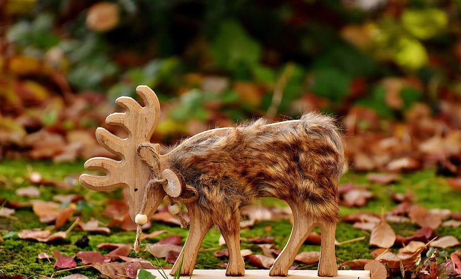 shallow focus photography of brown deer decor, hirsch, figure HD wallpaper