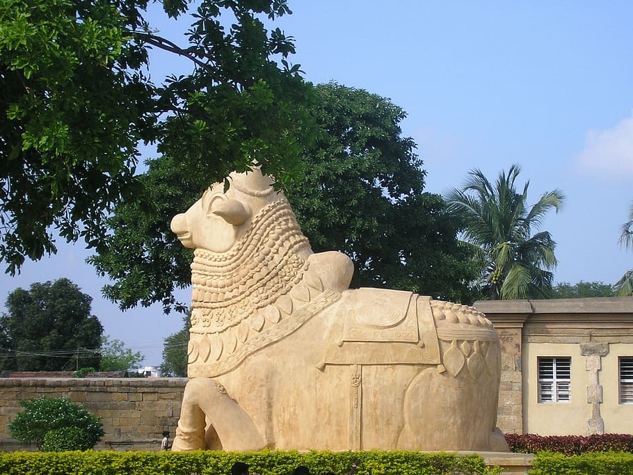 bull, statue, nandi, vehicle, celestial, shiva, gangaikondacholapuram