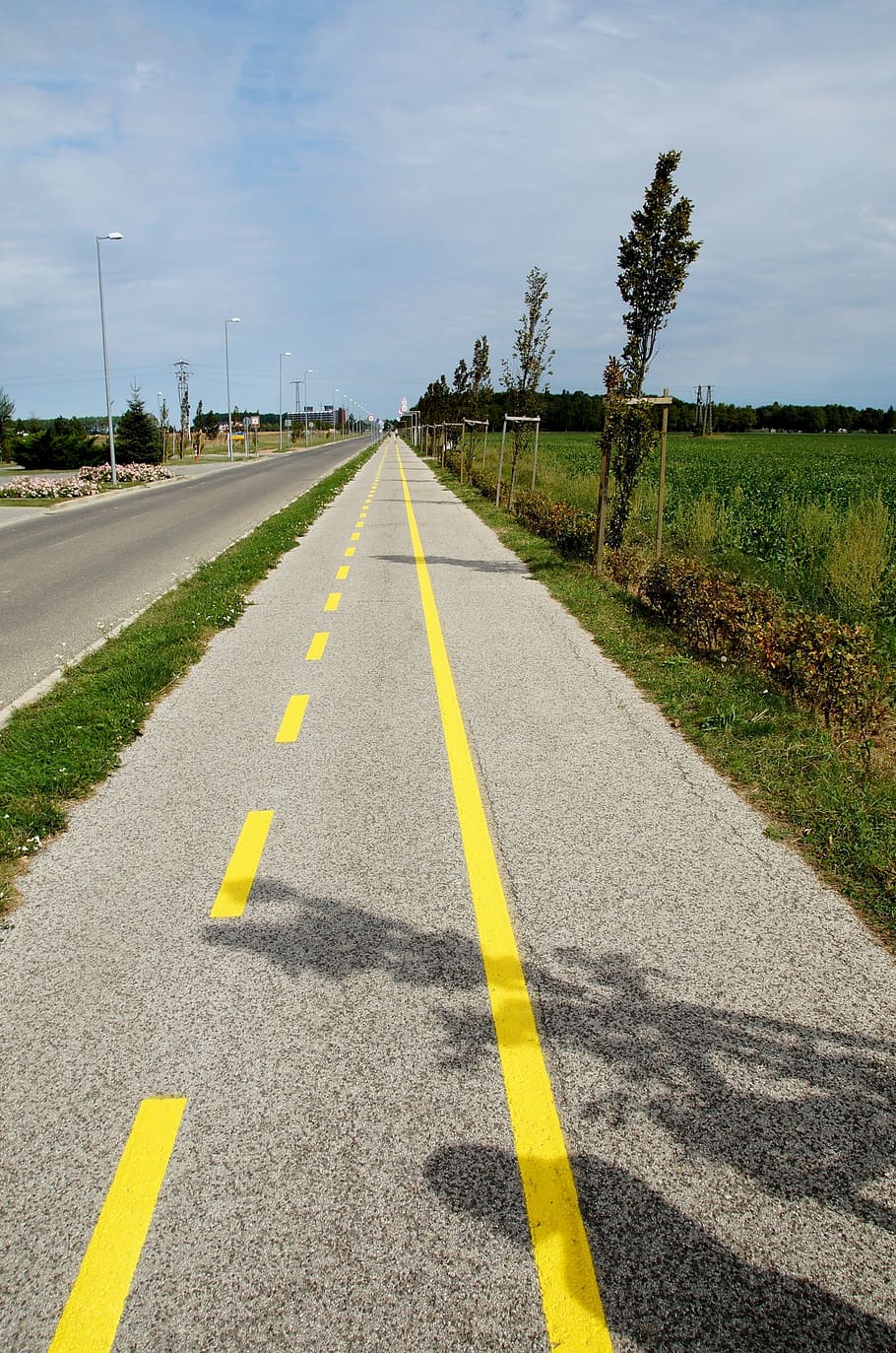 bicycle trail, path, inline, skates, round, road, asphalt, rural Scene HD wallpaper