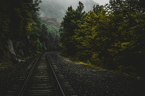 train trailway between trees, black railroad between green leaf trees at daytime HD wallpaper