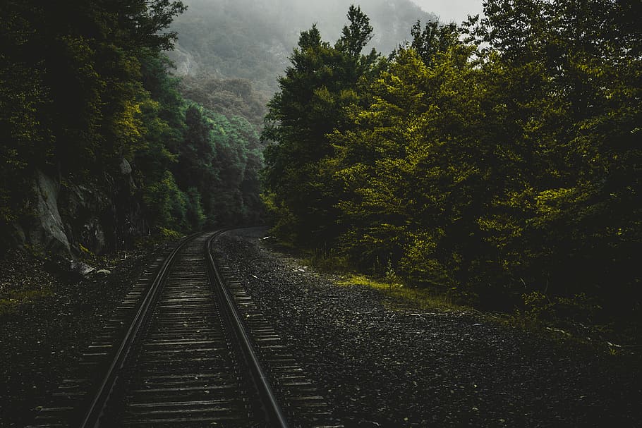 train trailway between trees, black railroad between green leaf trees at daytime HD wallpaper