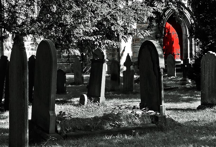 selective focus photography of red door surrounded by tomb HD wallpaper