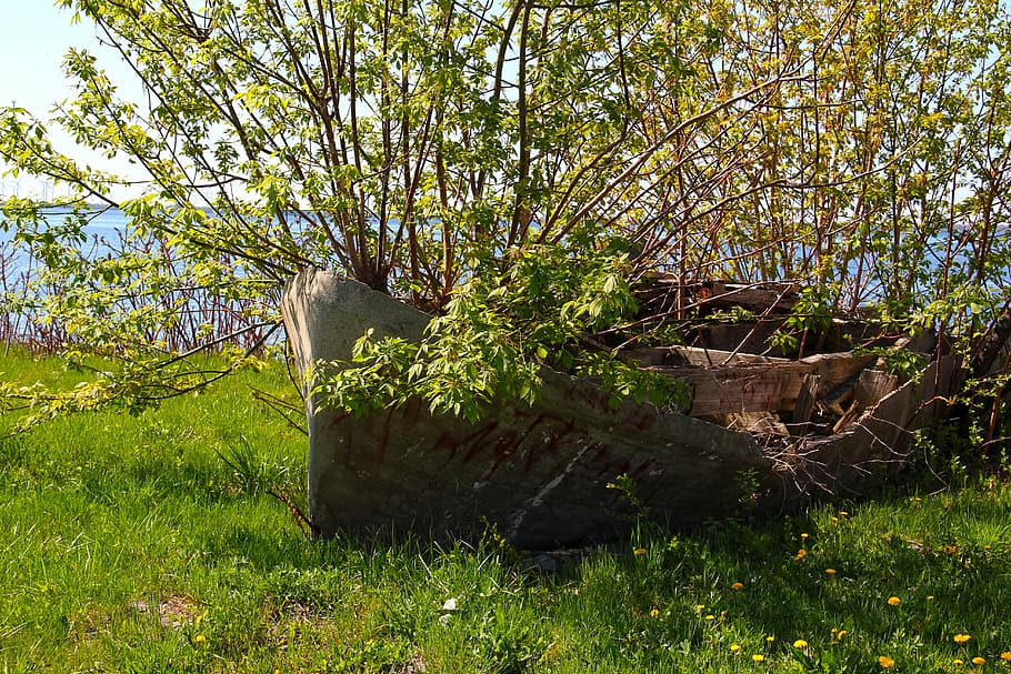 boot, tree, mood, ship, bank, water, wood, rowing boat, nature HD wallpaper