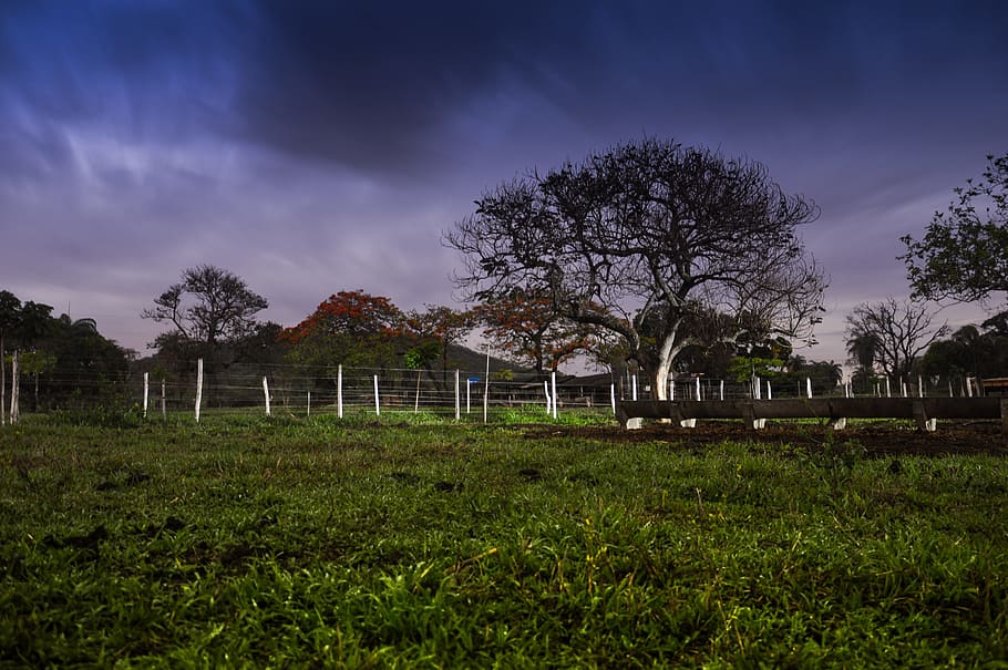 wood, light, dawn, landscape, backyard, cloudiness, clouds, countryside HD wallpaper