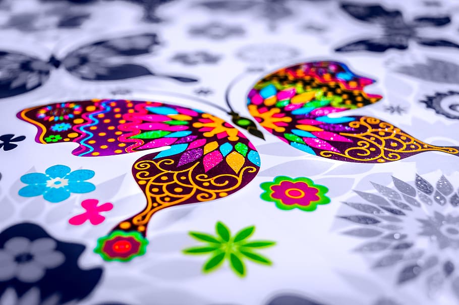 selective-color photography of multicolored butterfly mat, Paint, HD wallpaper