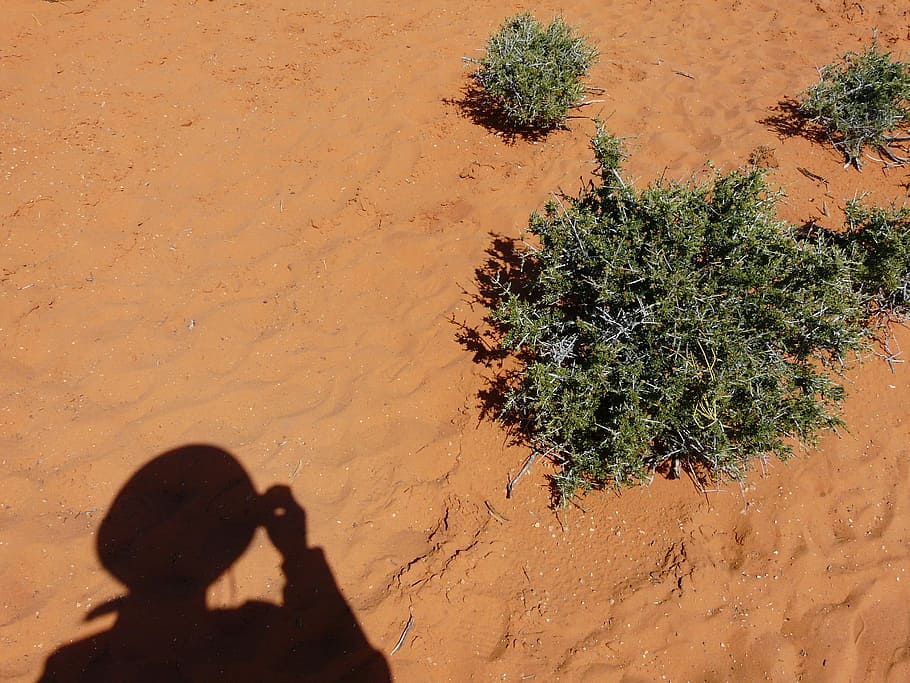 Desert, Sand, Shadow, Dry, Drought, profile, person, human HD wallpaper