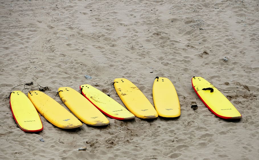 surf, boards, beach, surfing, sport, sea, water, summer, surfer HD wallpaper